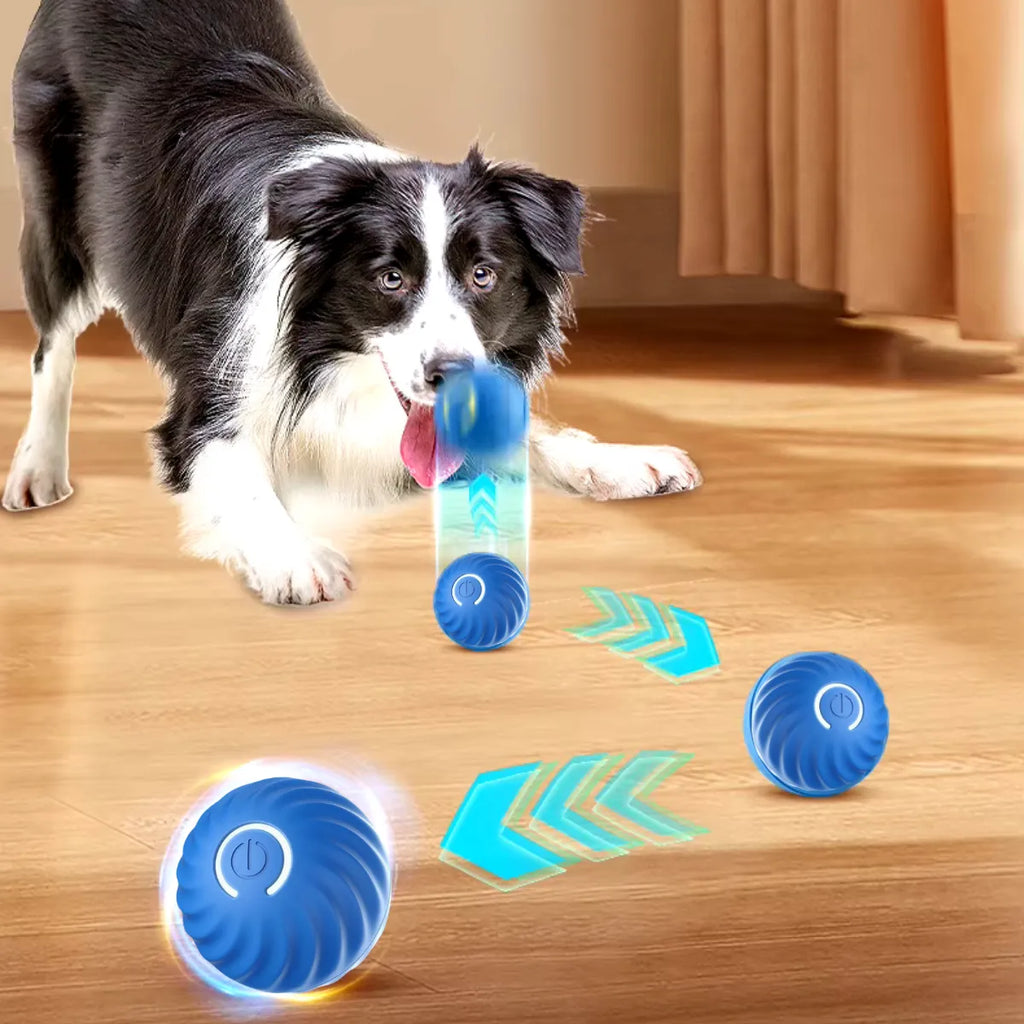 BOLA AUTOMÁTICA ANTI-TÉDIO - Acabou a Culpa de Deixar Seu Pet Sozinho em Casa!