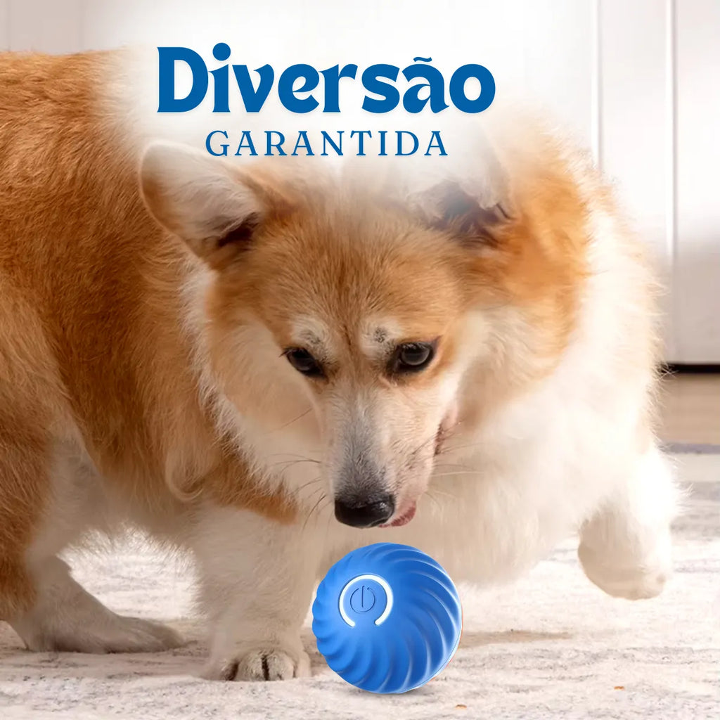 BOLA AUTOMÁTICA ANTI-TÉDIO - Acabou a Culpa de Deixar Seu Pet Sozinho em Casa!